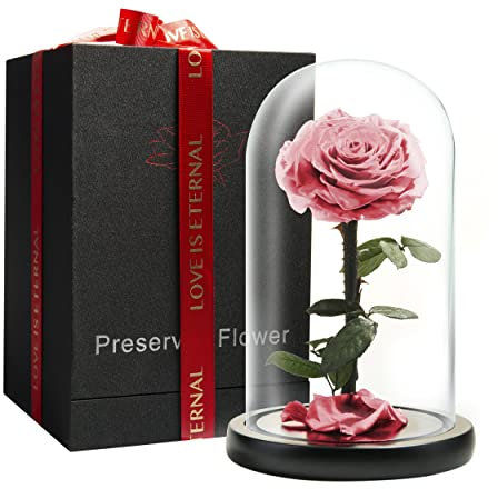 LOVAPPY Preserved Forever Rose in Glass Dome - Beauty and the Beast Romantic Gifts for Her - Eternal Rose Preserved Flowers - Preserved Rose Mother Gifts - Mum Birthday Gifts for women (Pink, 23 cm)