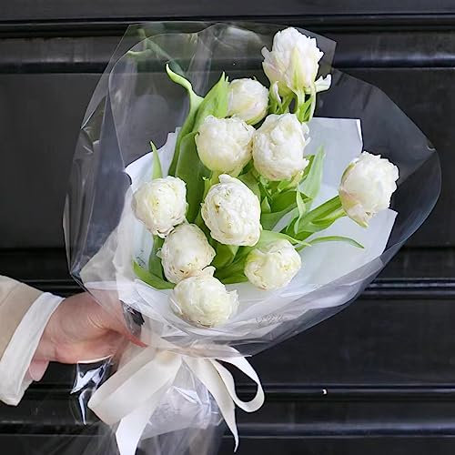 12 Pcs Wilde Tulpen Zwiebeln, Tulpenzwiebeln, Deko Wohnzimmer Bonsai Blumen, Tulipa Gesneriana, Pflanzen Deko Exotische Zimmerpflanzen, Geschenke Garten Balkon Blumen, Stauden Winterhart