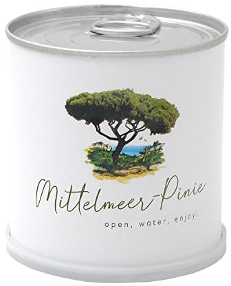 MacFlowers® | Anzucht-Set mit Mittelmeerpinie | eine Sorte Samen | Mediterranes Nachhaltiges Geschenk in süßer instant gardening Blumendose