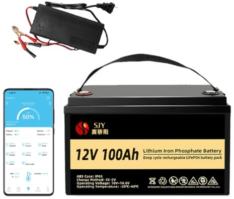 SaiJiaoYang LiFePO4 12V 100Ah Batterie mit 10A Ladegerät und Bluetooth, Eingebautes 100A BMS Deep Cycle Grade A Lithium Batterie für Wohnmobile, Camping, Wohnwagen, Boot, Solaranlage