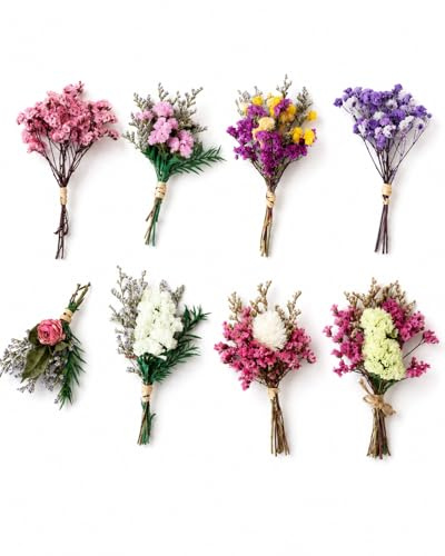 8 kleine Trockenblumensträuße, 8 Sorten natürlich getrocknet und farbenfroh in Rosa und Lila, perfekt für Scrapbooking, Bastelarbeiten und Hochzeitsdekoration