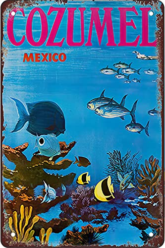 Blechschild im Retro-Stil, Cozumel Mexiko, Metall-Wandschild, Kunstdekoration, Poster, geeignet für Garage, Bar, Restaurant, Wohnzimmer, Schlafzimmer, Küche, Café, Bar, 30,5