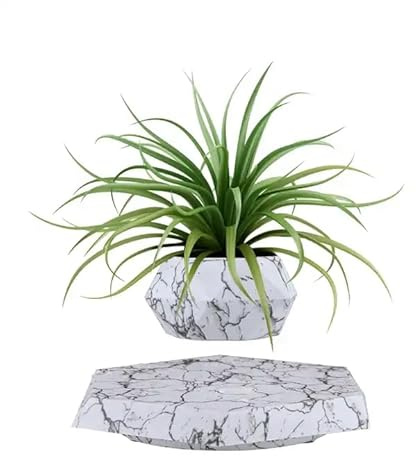 INOVAXION Schwebender Blumentopf, schwimmender Blumentopf für kleine Pflanzen. Schwebende Dekoration für Zuhause und Büro. Magnetisches, schwebendes Display, einzigartige Geschenke für Weihnachten und