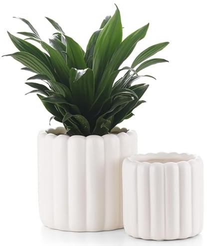 FUYHE Ceramic Plant Pots,White Ceramic Planters for Indoor Plants, 6 inch Ceramic Pots for Plants with Drainage Hole,Ceramic Flower Pots for Indoor Plants with Mesh Pad, Modern Décor(6+4.7inch)