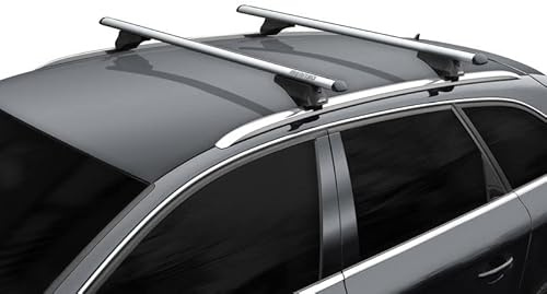 Dachträger für Dacia Lodgy ab BJ 2012