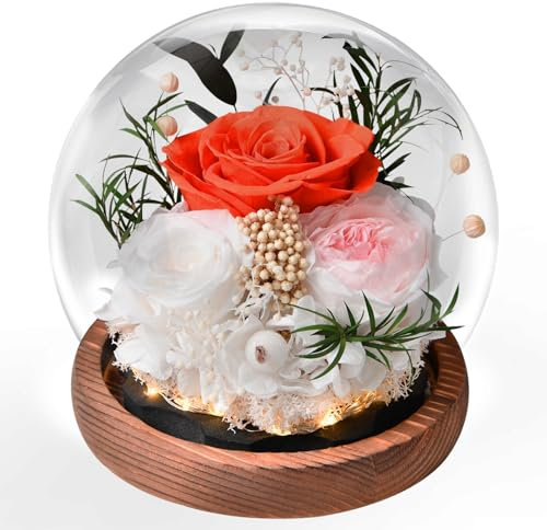 Ewige Rose im Glas mit Licht, Infinity Rosen Blumen Konservierte Rosen als Geschenke für Frauen Mama Oma Freundin zum Valentinstag Muttertag Geburtstag Jahrestag Thanksgiving Hauptdekor Weihnachten