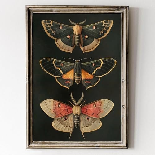Lauximart Wandkunst, Gothic-Schmetterling, Vintage-Schmetterlingsposter, Gothic-Motte, Gemälde, dunkle Akademie, Wandkunst, schwarzes Insekt, 40,6 x 61 cm, kein Rahmen