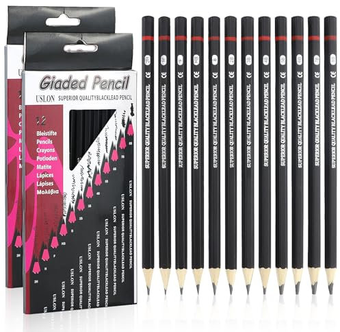 LAMXD Bleistift Set,24 Stück Zeichenstifte Skizzierstifte Set 8B 7B 6B 5B 4B 3B 2B B HB H 2H 4H Professionelle Bleistifte für Kinder Erwachsene Künstler Studenten Anfänger