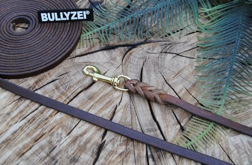 Lederleine geflochten Antik-Braun 10mm Messing Führleine, Schleppleine (7m mit Schlaufe)