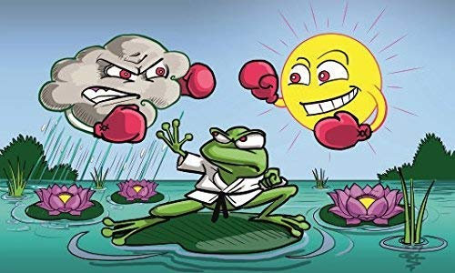 UB Fahne/Flagge Wetterfrosch Frosch 90 cm x 150 cm Neuware!!!