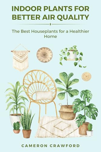 Indoor Plants for Better Air Quality: The Best Houseplants for a Healthier Home