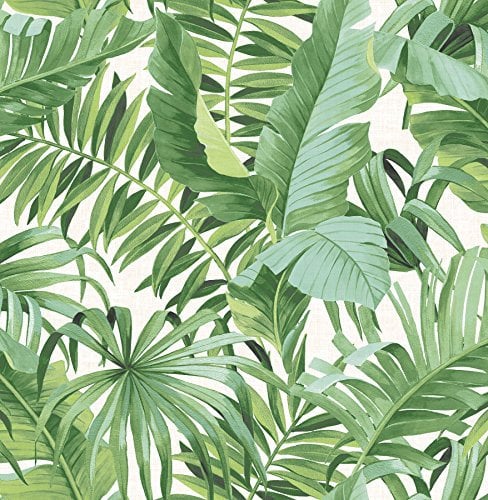 A-Street Prints Papel pintado de color verde 2744-24136