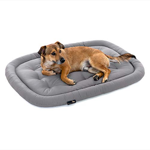 Pointer | Orthopädisches Hundekissen Grosse Hunde, 105x80 cm - Hundebett Waschbar bis 95°C, Geruchsfrei, Robust, Indoor & Outdoor, Made in Germany (XL - 105x80 cm, Hellgrau)