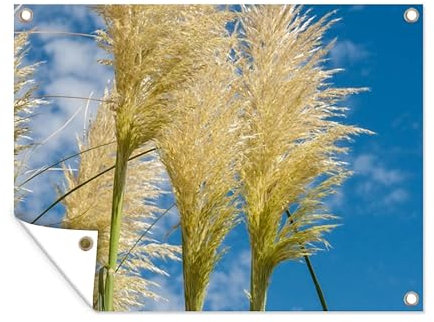 MuchoWow Poster exterieur Plantes - Herbe de la pampa - Air Decoration murale 120x90 cm Résistant aux intempéries/soleil