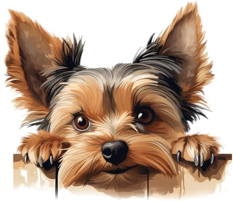x4 Dog Stickers for Wall Decor, Covering Marks, Hardwearing Waterproof Mugs & Phone, Car Bumpers, Shower & Tile, Toilets, Laptop & More Vinyl Decals, (Shark02) (Yorkshire Terrier)