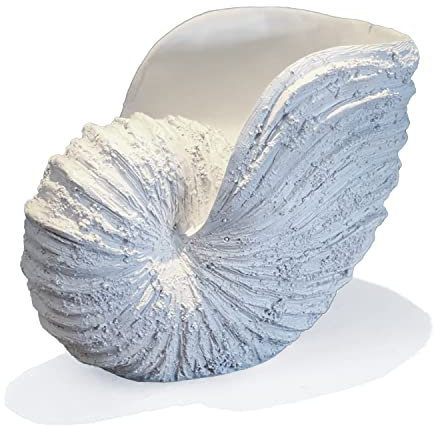 Huey House Nautilus Muschel-Skulptur, Nachbildung, Strand-Thema, Ozean-Dekoration für Zuhause, rustikales weißes Kunstharz, 26,4 x 15,2 x 20,3 cm, handgefertigt, Küstenmuschel-Regal-Dekoration, in