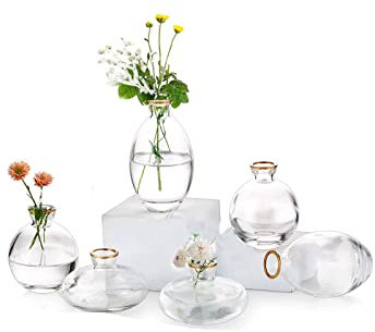 EylKoi Kleine Vasen füR Tischdeko Glas 2 Sätze(6 Stück) Transparent mit Goldrand Mini Vase Vintage Handmade Hydroponic Glasvase Blumenvase Modern Set Hochzeit Tischdeko, Zuhause Wohnzimmer Blumen