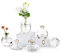 EylKoi Kleine Vasen füR Tischdeko Glas 2 Sätze(6 Stück) Transparent mit Goldrand Mini Vase Vintage Handmade Hydroponic Glasvase Blumenvase Modern Set Hochzeit Tischdeko, Zuhause Wohnzimmer Blumen