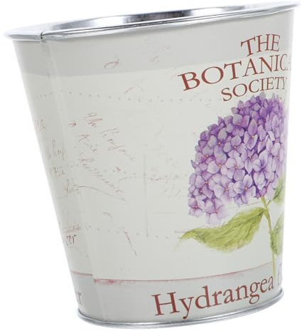 PAMINGONO Pot De Fleurs Fer Vintage pour Succulentes Décoration Intérieure Et Extérieure Jardin Balcon Seau Décoratif Simple Et Élégant