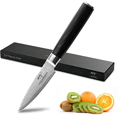 NANFANG BROTHERS Damaskus Gemüsemesser 3,5 Zoll, Pro Grade 67 Schicht VG-10 Edelstahl Ultra Sharp Messer, Küchenmesser mit ergonomischem Griff