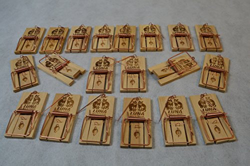 Deu FA 50 Stück Mäusefallen Schlagfalle Mausefalle Mäusefalle aus Buchenholz 9,5 X 5 cm Nagerfalle Falle Fallen