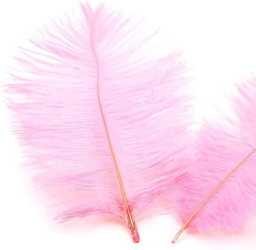 50 Stück 15-20cm Natürliche Straußenfedern,Strauß Feder zum Basteln,Bastel Federn für DIY Traumfänger Zubehör,Heimdekoration,KostüMe,Tischdeko Hochzeit Party Fest Hüte Kleidung Dekoration,Rosa