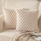 Mandioo 2er Set Beige superweichen dekorative Plüsch Kissenbezug Kissenbezüge 60 x 60 cm Wollsamt Dekokissenbezüge Kissenhülle Sofakissen Dekokissen flauschig für Couch Sofa Bett Wohnzimmer