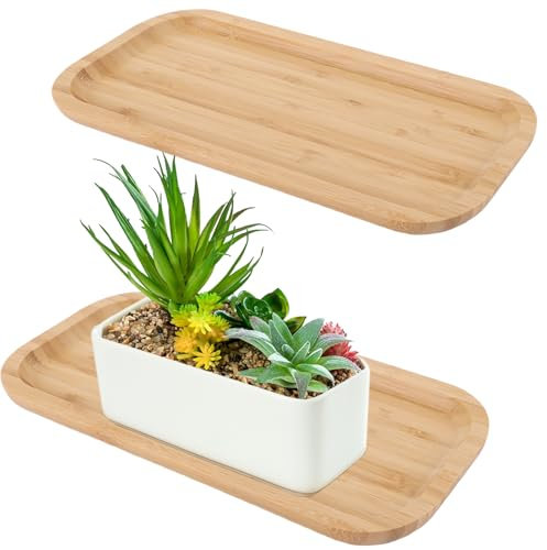SHUESS Lot de 2 plateaux de salle de bain en bambou - 30 x 12 cm - Rectangulaire - Pour cuisine, bureau, comptoir