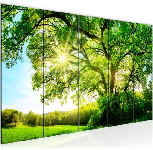 Runa Art Bild Wald Wandbilder auf Vlies Leinwand Wanddekoration Wohnzimmer Schlafzimmer 049956a