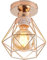 TOKIUS Plafonnier E27 Industriel Lustre Suspension Vintage luminaire Plafonnier Salon Rétro Design Métal Cage Ø160mm éclairage de plafond Cuisine,Cuivré (1pcs)