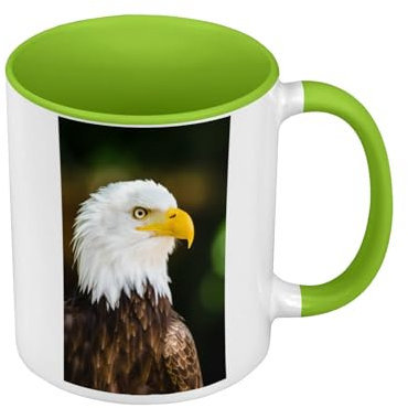 Tasse Farbe Premium Grün – Weißkopfseeadler Adler Wildlife Rapace – Tasse mit Henkel und farbigem Innenfutter