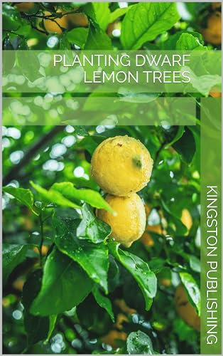Planting Dwarf Lemon Trees (Fruit Trees)