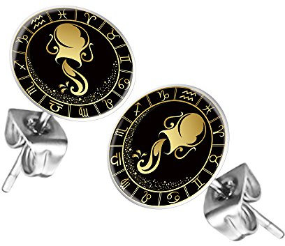 Mianova Ohrstecker Ohrringe Stecker Platte mit Sternzeichen Motiv Tierkreiszeichen Silber für Damen Herren oder Kinder Wassermann