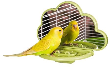 Vogelspiegel mit Sitzstange, Vogelspielzeug für Sittiche, Nymphensittiche, Conures, Unzertrennliche, Finken, Kanarienvögel (Grün)