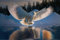 Acryl-Bild 90 x 60 cm: Schneeeule (Strix aluco) im Flug über einem zugefrorenen See (203967652)