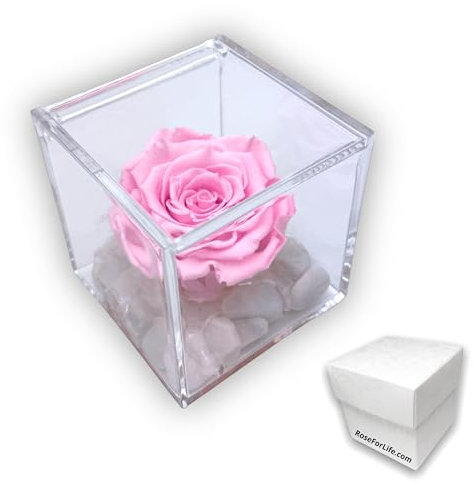 PREMIUM ROSE - Cubo Rosa Stabilizzata Rosa 8 cm con Marmo di Carrara - Rosa Eterna Stabilizzata Made in Italy - Idea per Chi Ama Colori Vivaci e Giovani Donne - Rosa A 1085
