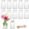 12 Stück Mini Glasvasen, 250ml kleine Väschen mit Juteschnur, Blumenvasen Tischvasen Glasvasen Dekoflaschen Glasflaschen, Glasfläschchen für Tischdeko Mittelstücke, Hochzeitsdekorationen