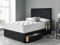 DBZ BEDS 4 FT 6 Double Bed Set with 2000 Series Mattress - Black Venice Divan Bed Set with Versatile Storage Options – 6 Panel Headboard with Chrome Glider Feet (Double)