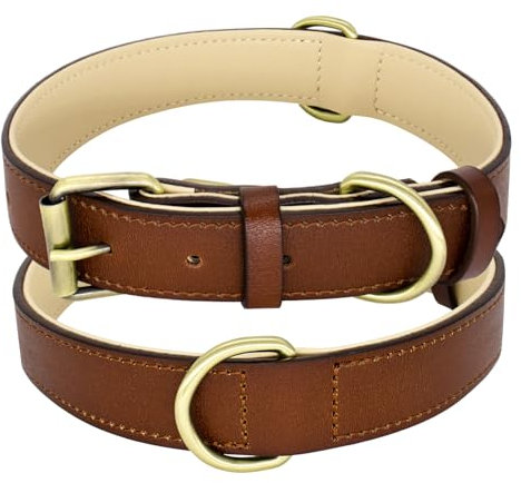 Furry Friends Hundehalsband Leder, Echtes Lederhalsband, Robust, Gepolstert Hundehalsband für Große, Mittleren und Kleinen Hund(L- 45-55cm, Braun)