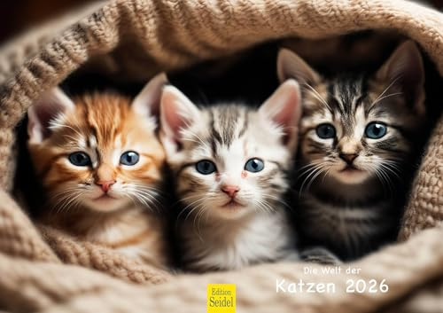 Edition Seidel Premium Kalender Die Welt der Katzen 2026 Format DIN A3 Wandkalender Katzenkalender Haustiere Kätzchen Katzenkinder Katze Kater Kitten