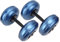 Dpofirs 8-10 kg gewichtsverstellbares Hantelset, wassergefüllte Fitness-Hanteln für das Muskeltraining, Modellierausrüstung für Frauen, Männer, Teenager(Blau)