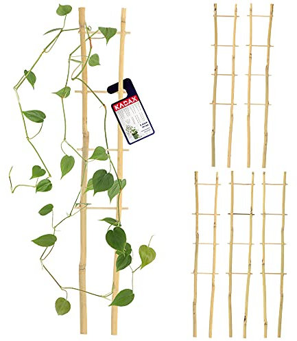 KADAX Lot de 5 échelles en bambou - En forme de V - Hauteur : 38 cm - Double