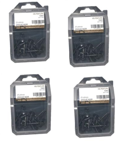 4 Coques de 25 Vis Penture Torx 6 x 40 mm - Zingué Noir - D-Work