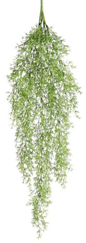Deco Woerner Deko Kunstpflanzenhänger Zierspargel 14 x 84 cm hellgrün Kunstpflanze künstlicher Zierspargel Kunstpflanzenhänger Asparagus