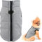 SMALLLEE_LUCKY_STORE Wasserdichte Winterjacke für kleine Hunde und Katzen, mit Reißverschluss, gepolstert, für Chihuahua, Yorkie, Kätzchen, warme Kleidung, Grau, Größe M