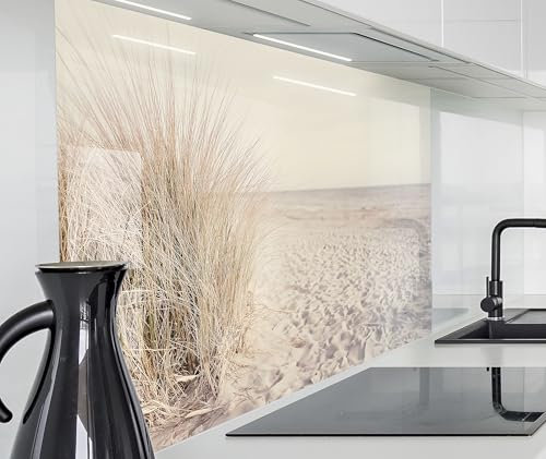 timalo Herd Spritzschutz Wand Spüle, Küche Küchenrückwand Glasoptik | Acryl Glas 2mm | Glasrückwand Acrylglas Küchenpaneele Rückwandschutz Platte | 160x50cm Meer Düne Pampasgras Nordsee