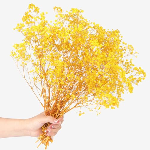 Lot de 70g Gypsophile Séché Fleurs Séchées Naturelles Naturel Gypsophila Fleurs Séchées pour Décoration de Mariage Décoration de Cheveux Décoration de Maison Bricolage(Yellow)