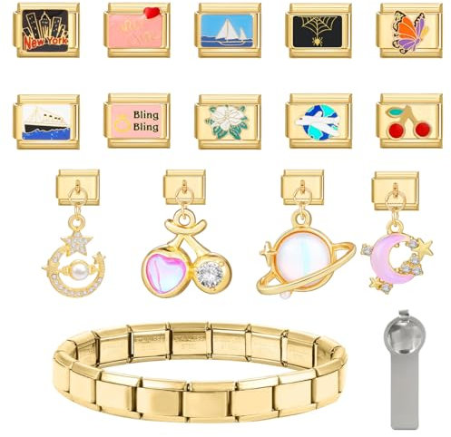 16Pcs Italian charm bracelet charms set,9mm Modul Abnehmbarer Klassischer Edelstahl Charm mit Öffnungswerkzeugen,Italienisches Charms Armband DIY Set,Geschenk für Herren Frauen Jungen Mädchen