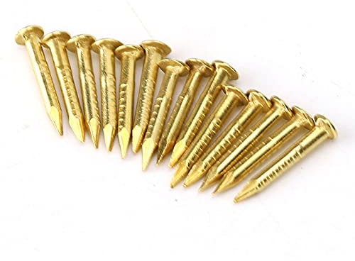Qcwwy Accessori Hardware in Ottone Sostituzione per Vecchi Chiodi da 100 Pezzi Chiodi a Testa Rotonda 10 Mm / 15 Mm / 18/22 (10 mm di lunghezza)