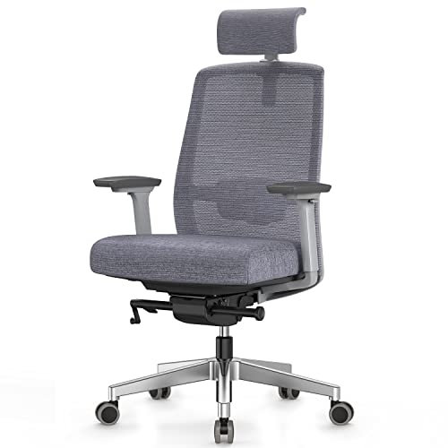 Duwinson Ergonomic Home Office Chair With 4-Way Adjustment Armrest, Mesh Computer Desk Chair, Reclining Adjustment Back Support, Adjustable Headrest, Padded Lumbar Support (Grey-UE)